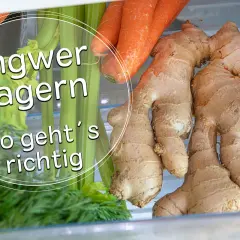 Frischen Ingwer lagern: So geht's richtig. Neben Karotten und Sellerie liegen mehrere Ingwerknollen im Kühlschrank.