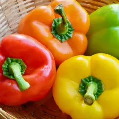 Bunte Paprika in einem Korb – rot, gelb, orange und grün. Perfekt für die Lagerung und Zubereitung frischer Gerichte.