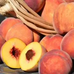 Frische Pfirsiche und Nektarinen lagern in einem Korb. Eine Frucht ist aufgeschnitten und zeigt das saftige Innere.