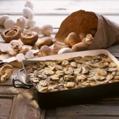 Frisch zubereiteter low carb champignon-auflauf in einer Auflaufform, umgeben von frischen Champignons.