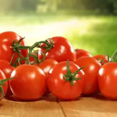 Frisch geerntete Tomaten lagern auf einer Holzoberfläche, bereit für die Zubereitung.