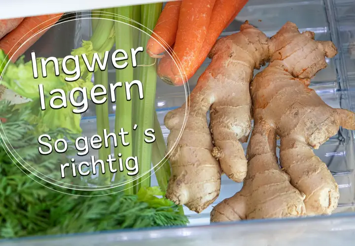 Frischen Ingwer lagern: So geht's richtig. Neben Karotten und Sellerie liegen mehrere Ingwerknollen im Kühlschrank.