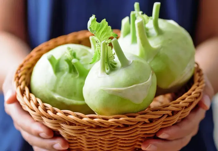 Frische Kohlrabi in einem Korb, bereit zur Lagerung. Die grünen Knollen mit ihren Stielen sind ein Zeichen für gute Qualität.