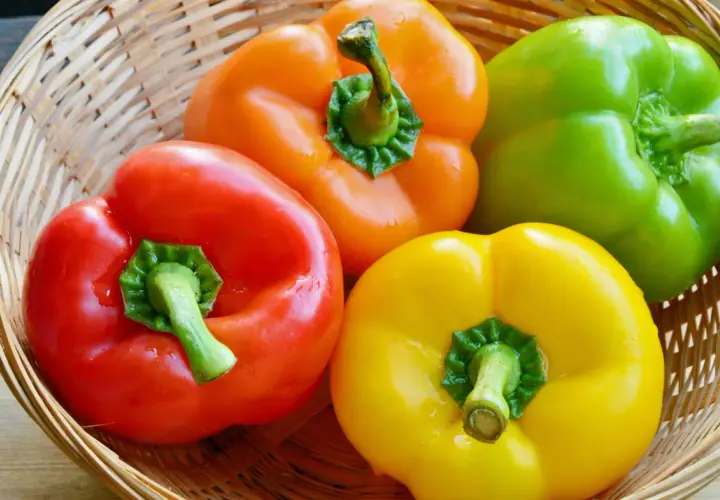 Bunte Paprika in einem Korb – rot, gelb, orange und grün. Perfekt für die Lagerung und Zubereitung frischer Gerichte.