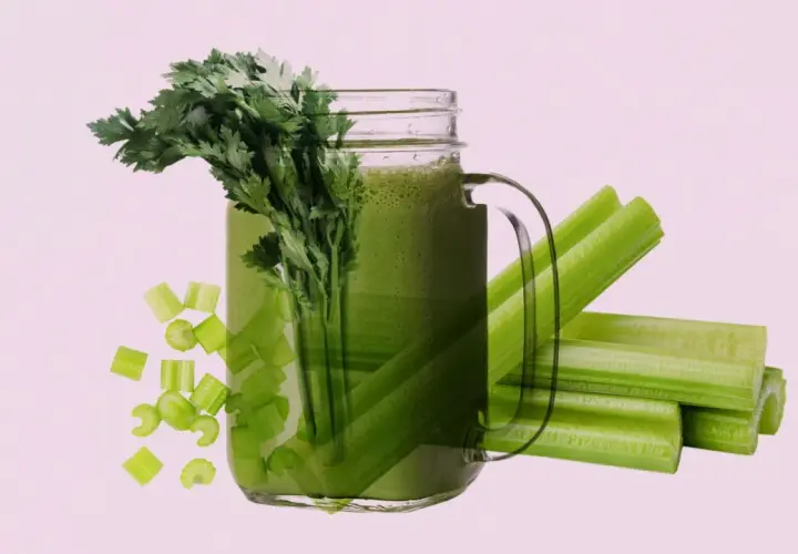Grüner Selleriesaft im Glas, mit frischen Stangen und Stücken. Ideal für eine Sellerie Leberreinigung.
