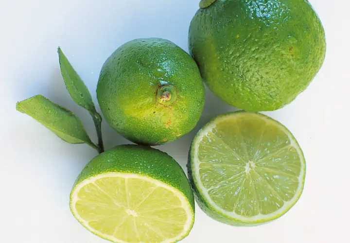 Frische Limetten, eine halbiert, bereit zum Einfrieren für Cocktails oder zum Kochen.
