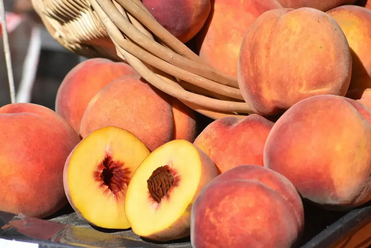 Frische Pfirsiche und Nektarinen lagern in einem Korb. Eine Frucht ist aufgeschnitten und zeigt das saftige Innere.
