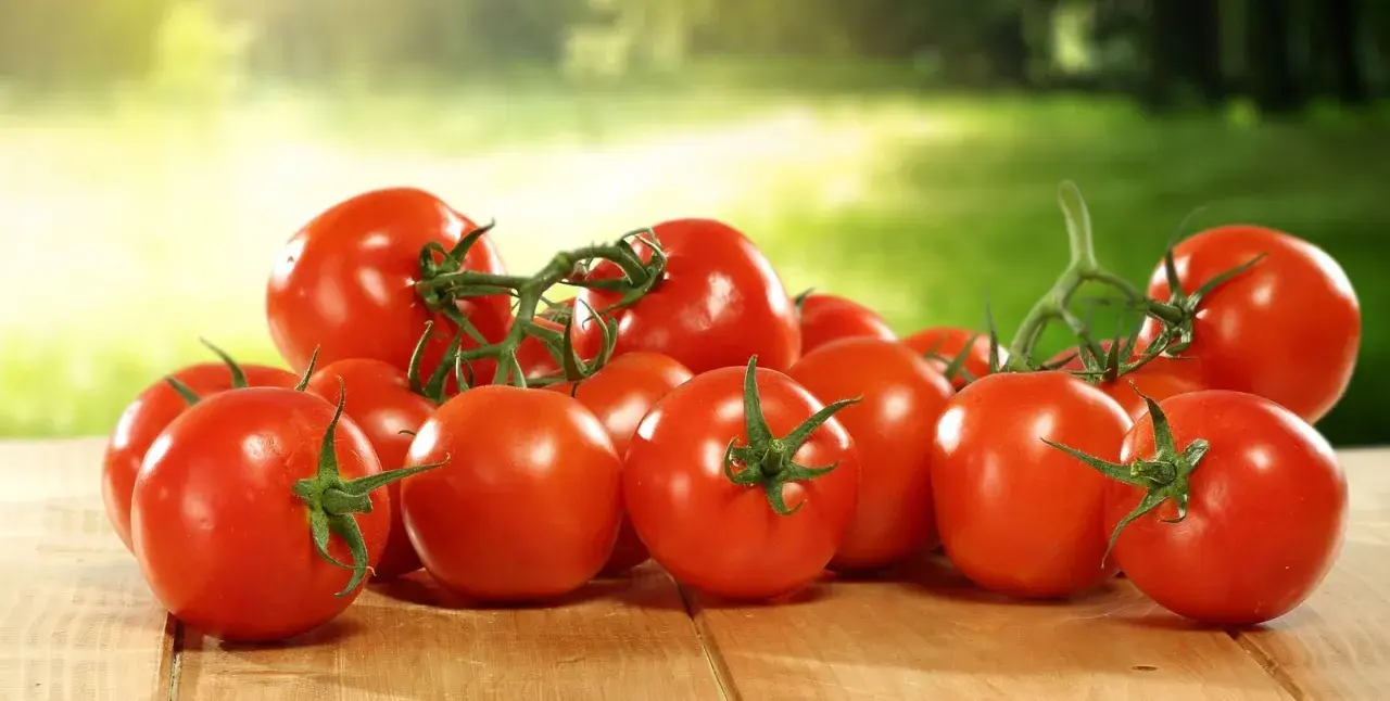 Frisch geerntete Tomaten lagern auf einer Holzoberfläche, bereit für die Zubereitung.