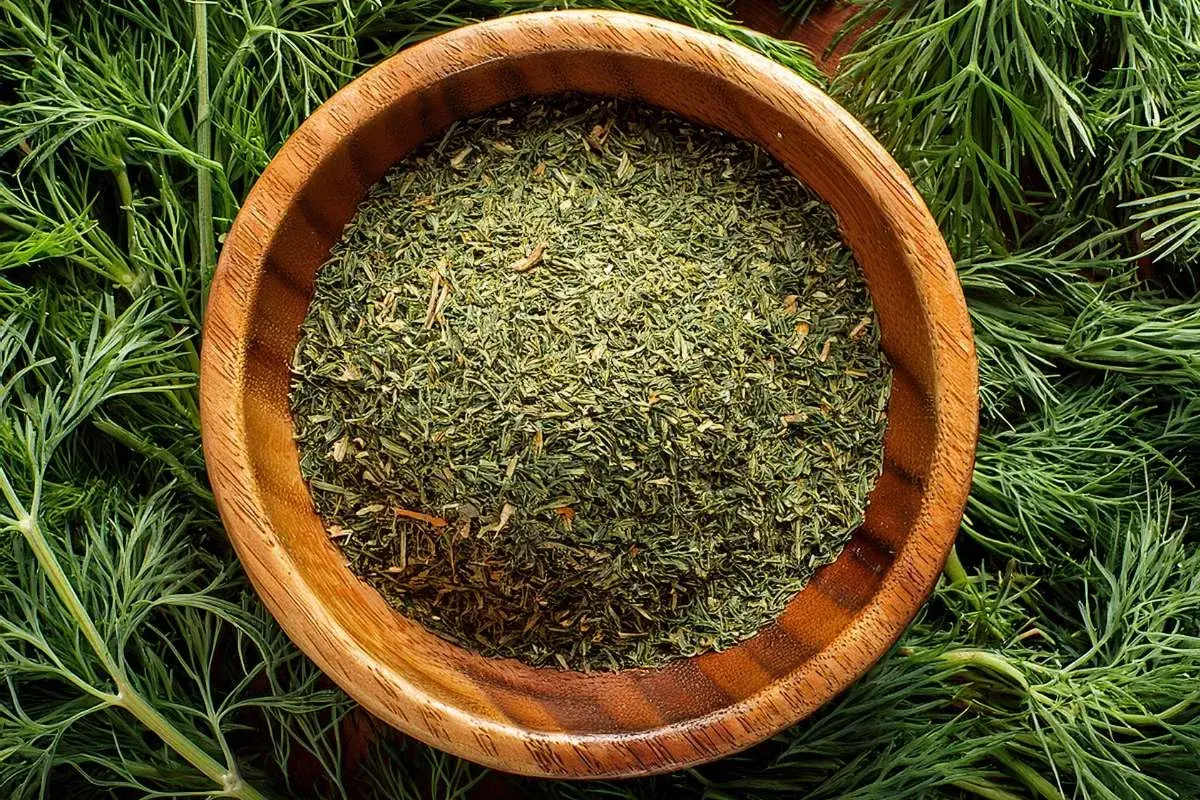 Get creative with dill: trocknen oder einfrieren für langanhaltenden Geschmack. Frische Dillzweige umrahmen eine Holzschale mit getrocknetem Dill.