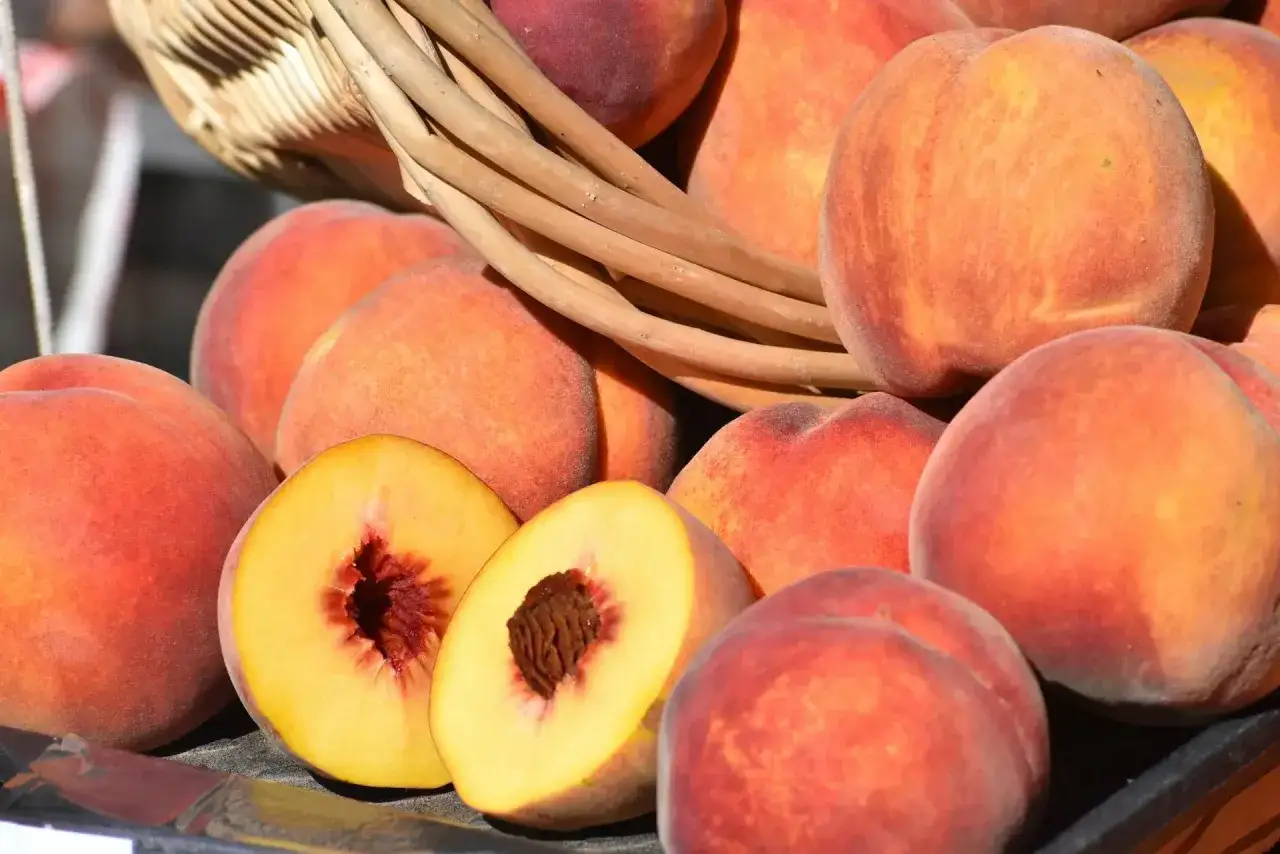 Frische Pfirsiche und Nektarinen lagern in einem Korb. Eine Frucht ist aufgeschnitten und zeigt ihr saftiges Inneres.