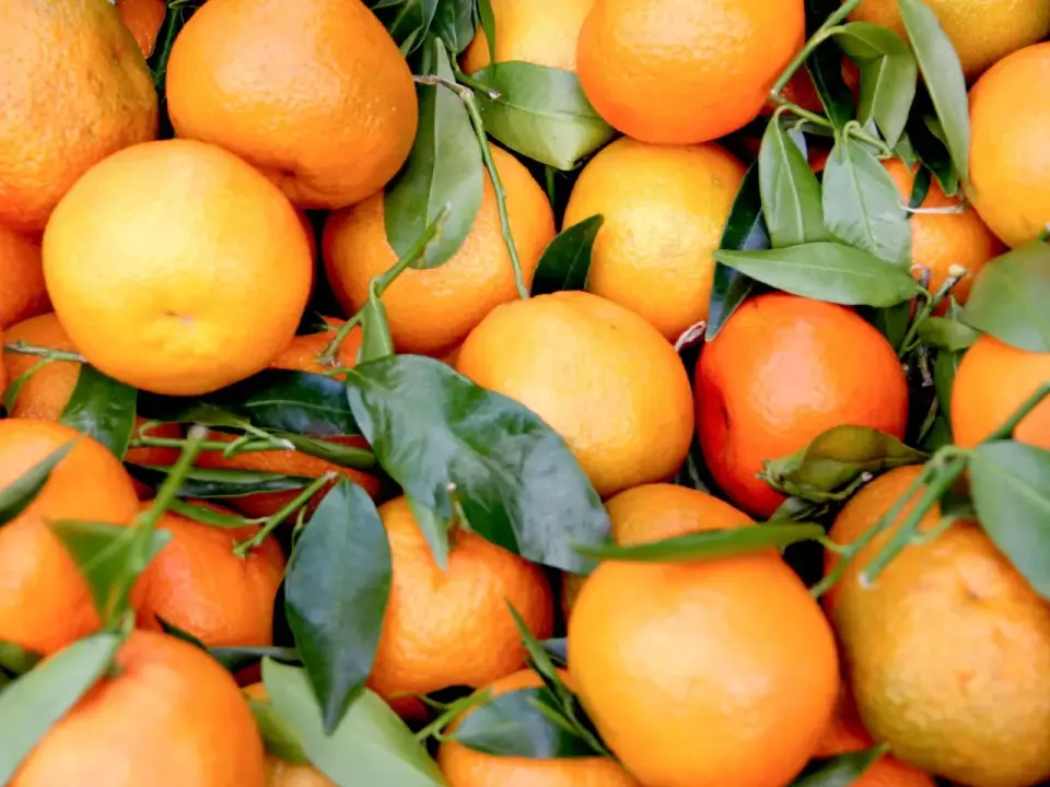 Orangen richtig lagern - So bleiben sie länger frisch!